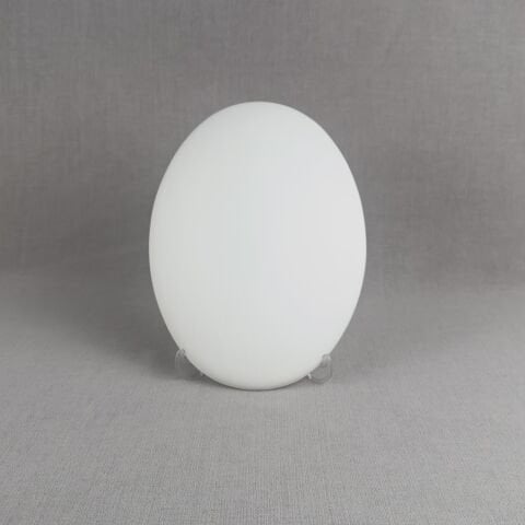 24cm Basık Oval Tombak